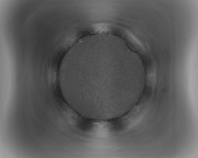 X0000112850417200908211304