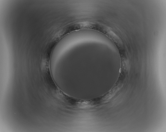 X0000112850419200908211304
