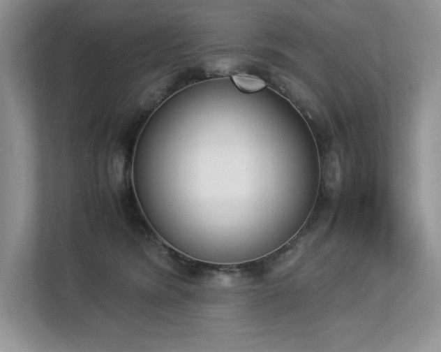 X0000112850420200908211304