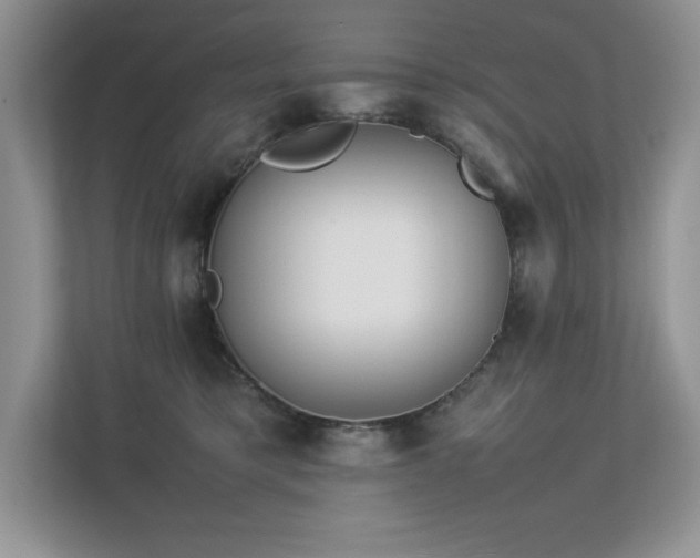 X0000112850421200908211304