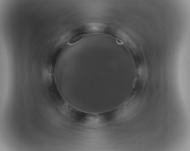 X0000112850423200908211304