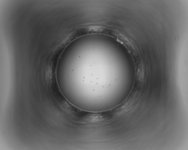 X0000112850424200908211304