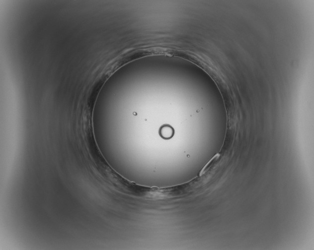 X0000112850425200908211304