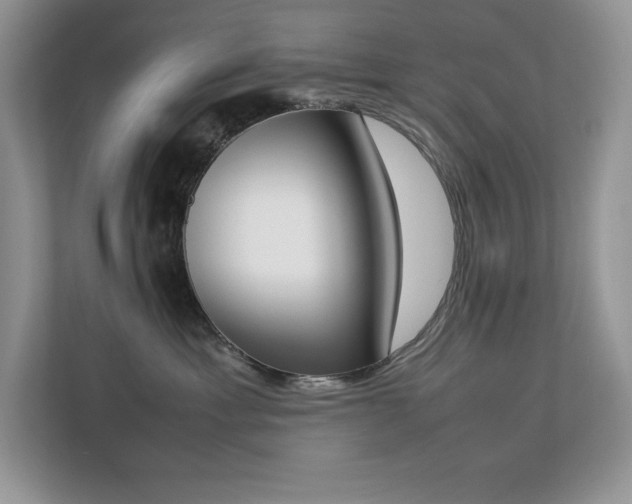 X0000112850429200908211304