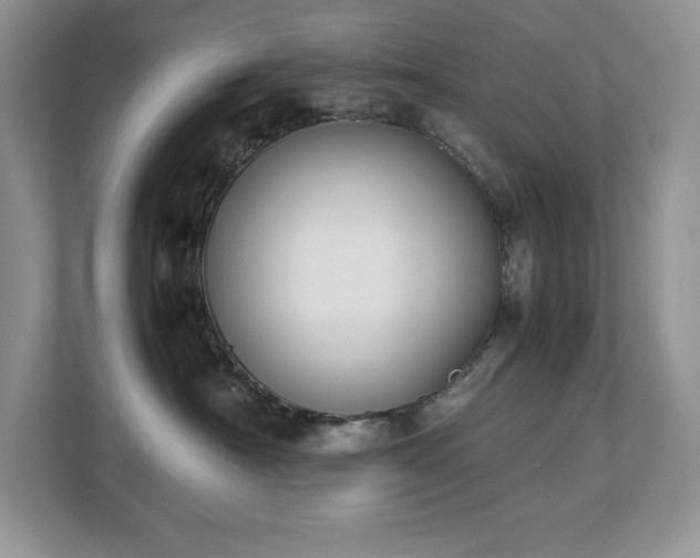X0000112850430200908211304