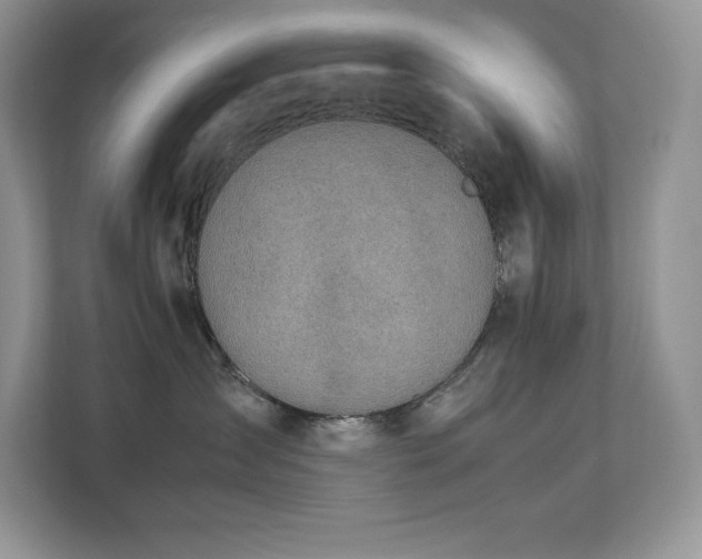 X0000112850431200908211304