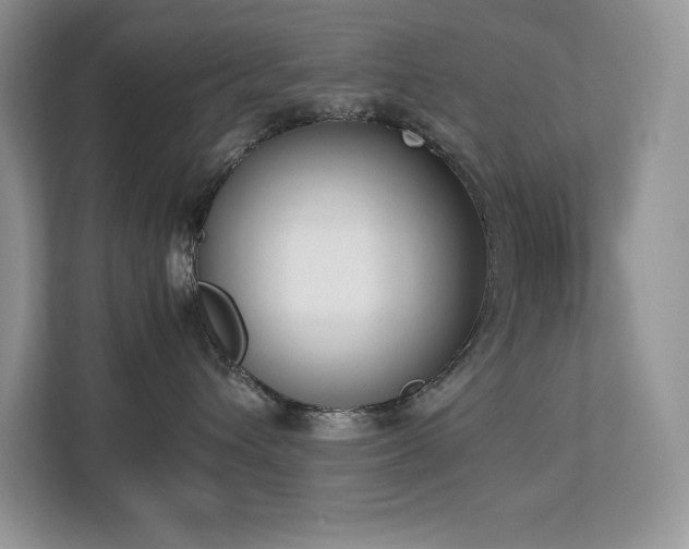 X0000112850432200908211304