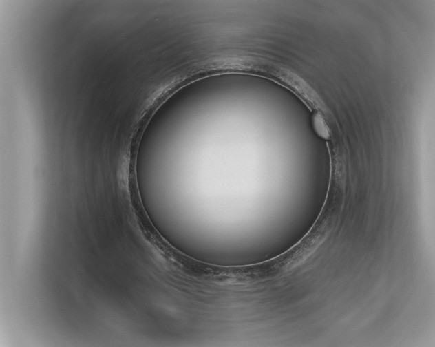 X0000112850434200908211304