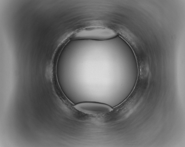 X0000112850436200908211304