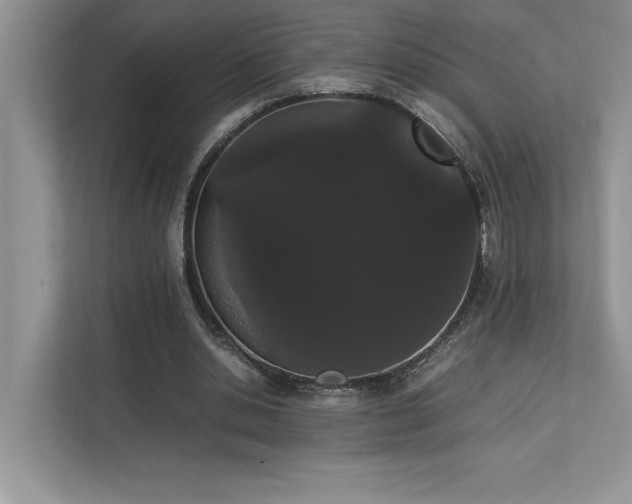 X0000112850438200908211304