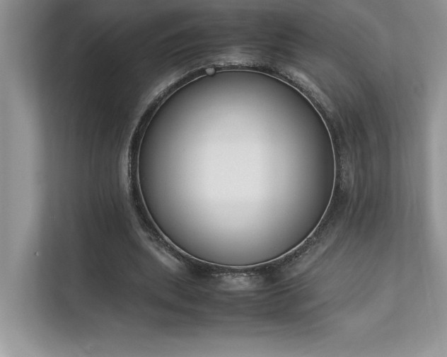 X0000112850439200908211304