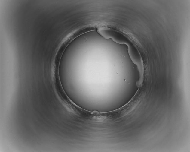 X0000112850440200908211304