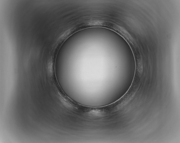 X0000112850441200908211304