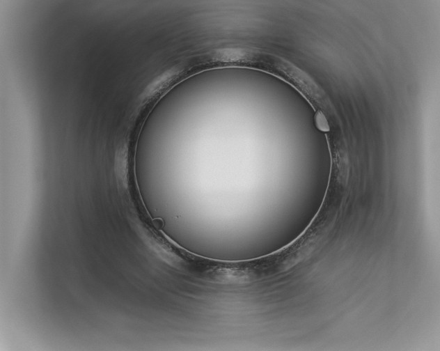 X0000112850442200908211304