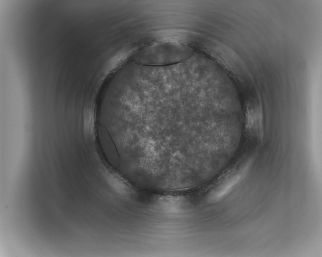 X0000112850444200908211304