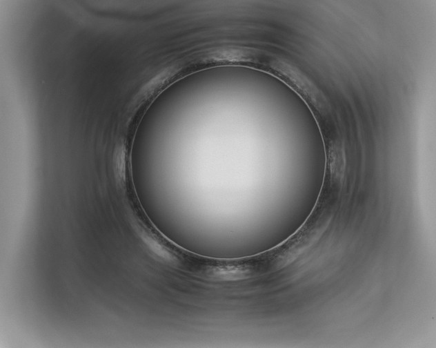 X0000112850445200908211304