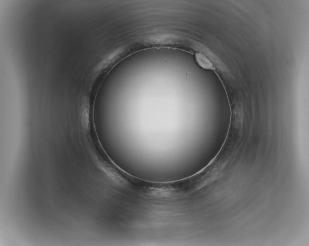 X0000112850446200908211304