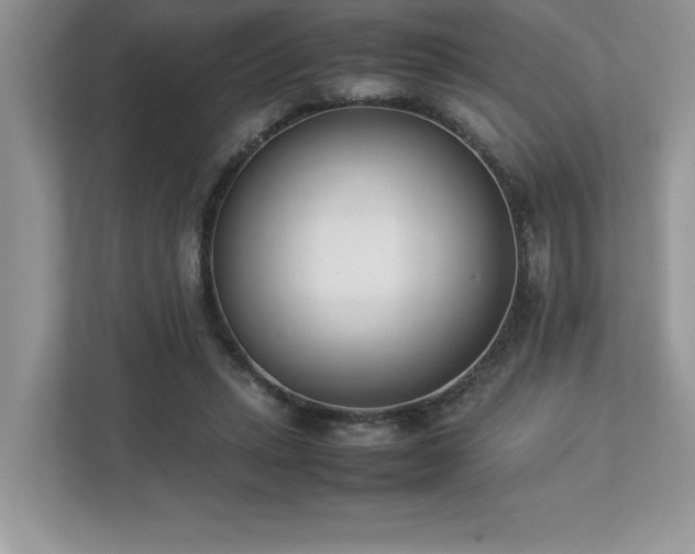 X0000112850447200908211304