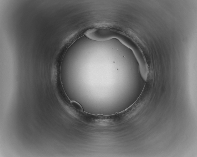 X0000112850448200908211304