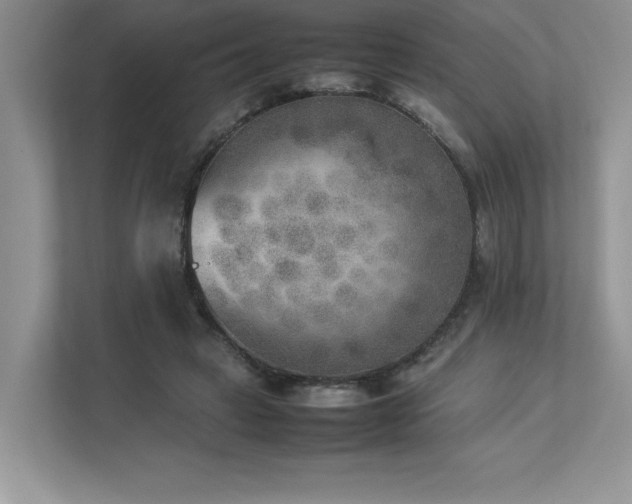 X0000112850449200908211304