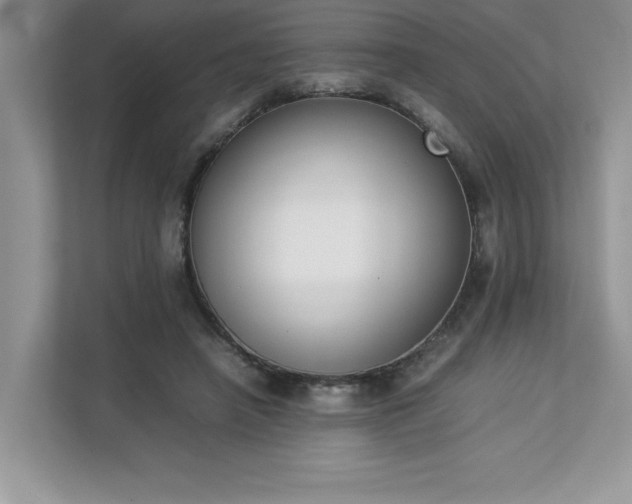 X0000112850450200908211304