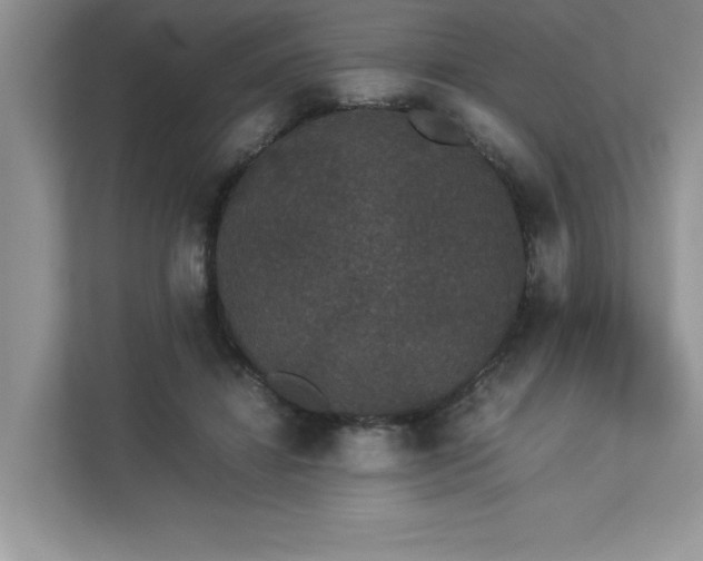 X0000112850452200908211304