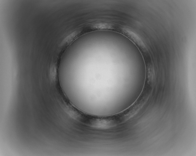 X0000112850453200908211304