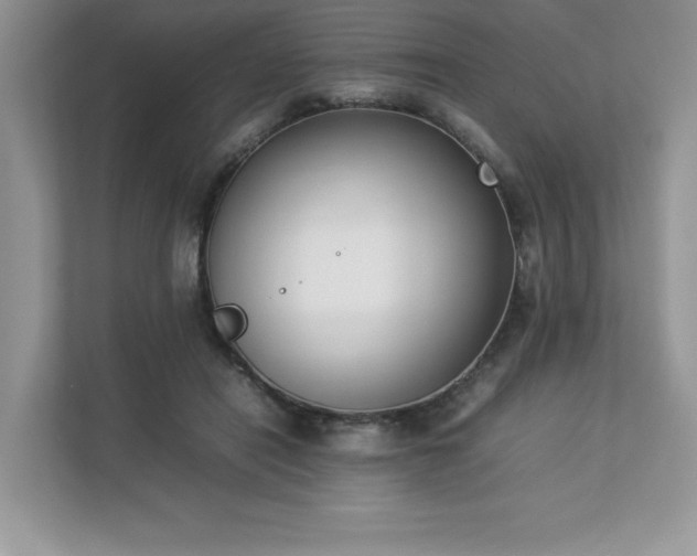 X0000112850454200908211304