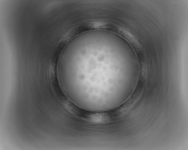 X0000112850461200908211304