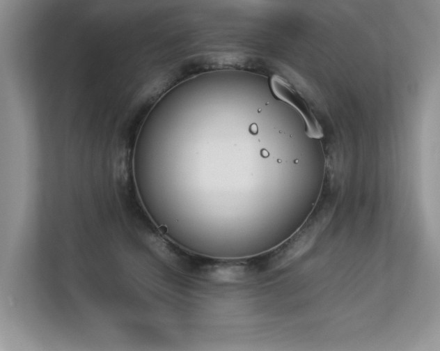 X0000112850462200908211304