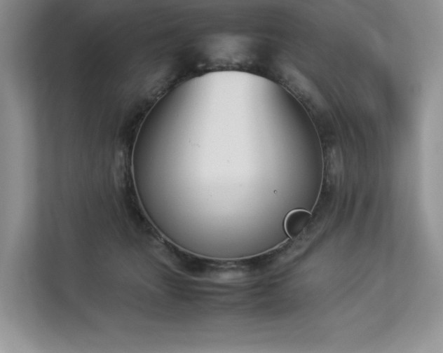 X0000112850463200908211304