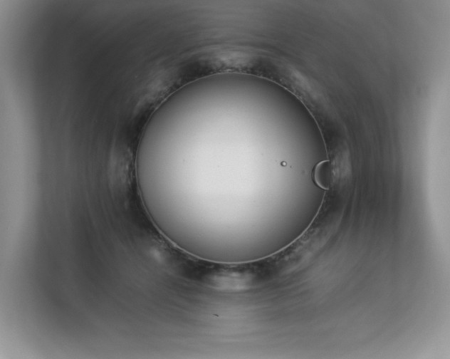X0000112850464200908211304