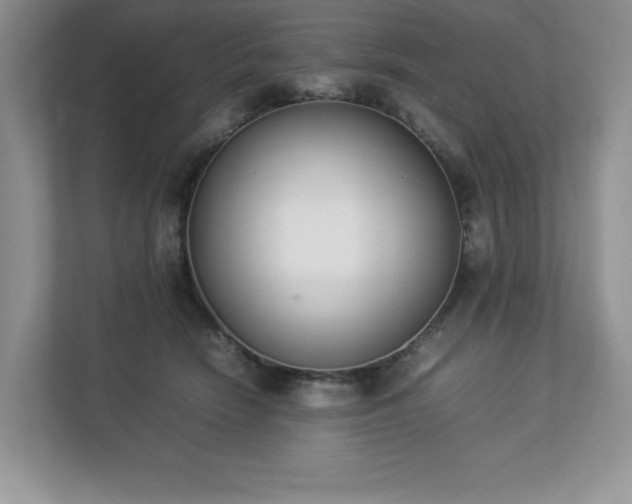 X0000112850466200908211304