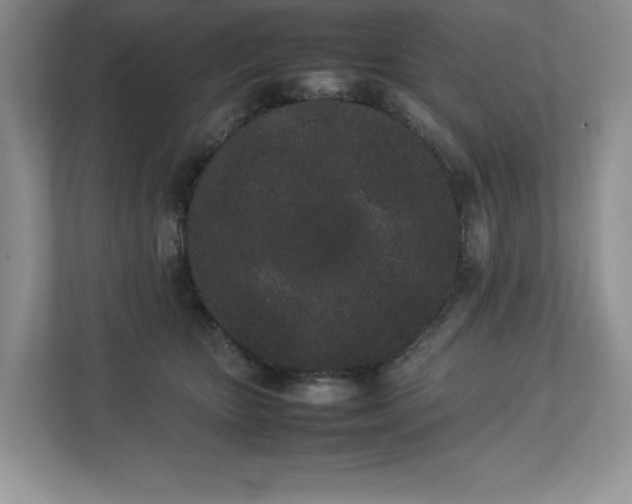 X0000112850467200908211304