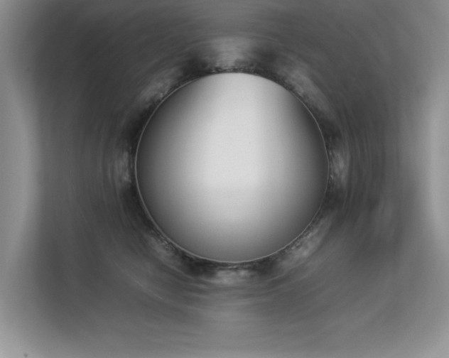 X0000112850470200908211304