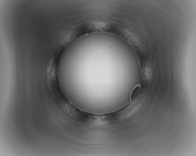 X0000112850472200908211304