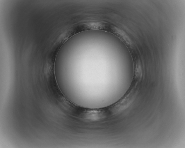 X0000112850473200908211304