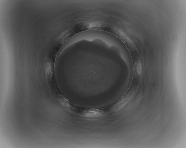 X0000112850475200908211304