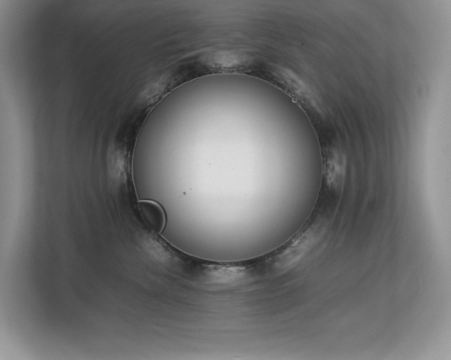 X0000112850476200908211304
