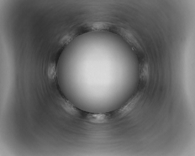 X0000112850478200908211304