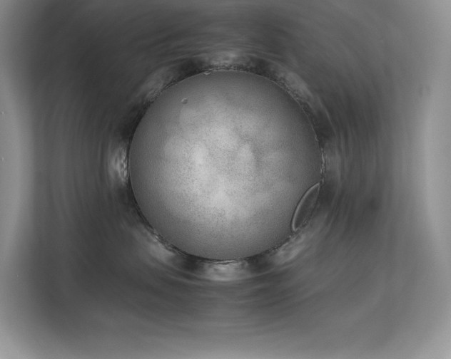X0000112850479200908211304