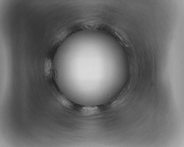 X0000112850480200908211304
