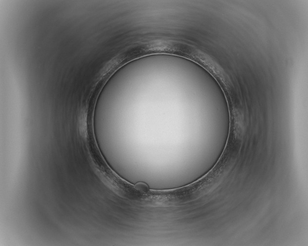 X0000112850482200908211304