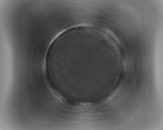 X0000112850484200908211303