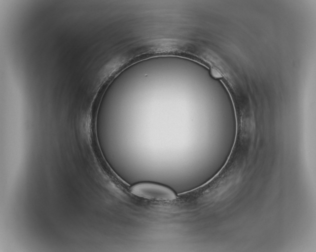 X0000112850485200908211303