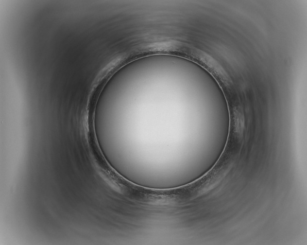 X0000112850486200908211303