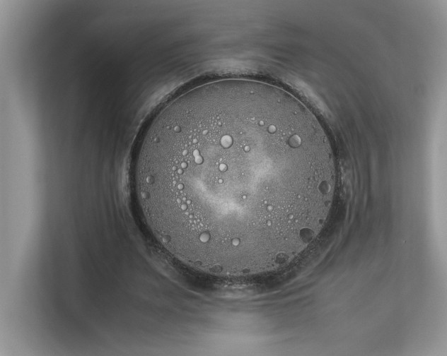X0000112850487200908211303