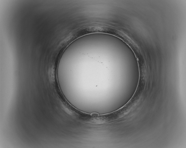 X0000112850489200908211303