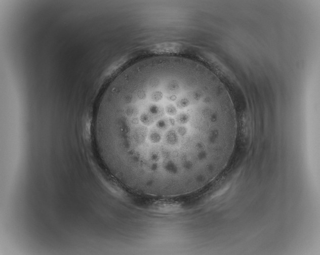 X0000112850491200908211303