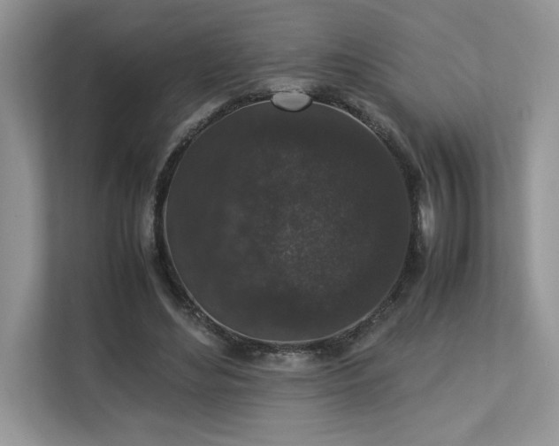 X0000112850492200908211303